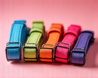 Collar con colores personalizados