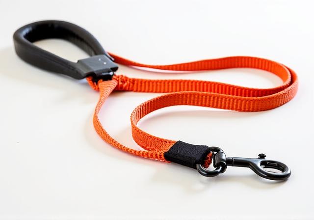 Correa de seguridad para perros grandes